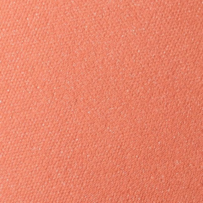 Immersive Blush 02 Apricot Glow Andreia