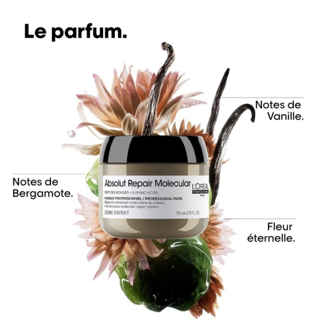 Masque Concentré Absolut Repair Molecular L'Oréal Professionnel 75ml