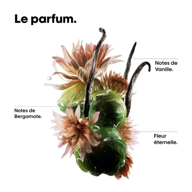 Kit Shampooing et Huile Absolut Repair Molecular L'Oréal Professionnel