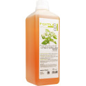 Shampooing Concentré Formule Pro TechniBase Chèvrefeuille 1 L