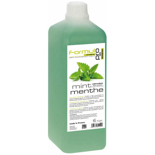 Shampooing Concentré Formule Pro TechniBase Menthe 1 L Shampooing Concentré Formule Pro TechniBase Menthe 1 L