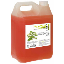 Shampoo Concentraat Formule Pro TechniBase Kamperfoelie 5 L
