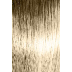 11.01 blond très clair naturel cendré