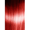 Artego Farbe 150 ml Färbung Rohr (durch Variationen)