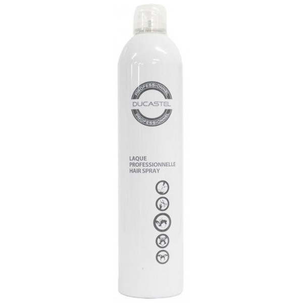 Laque Professionnelle Ducastel 600 ML Laque Professionnelle Ducastel 600 ML