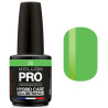 Semi-permanente Politur Hybrid Mollon Pro Care 15ml (für Farbe)