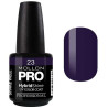 Semi-Permanent Glanz Mollon Pro Hybrid Lack 15ml (für Farbe)