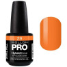 Smalto semi-permanente Hybrid Shine Mollon Pro (per colore)