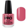 Classic Varnish 15 ml Mollon Pro (by color)