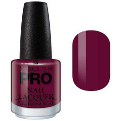 Verniz Clássico 15 ml Mollon Pro