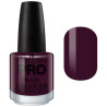 Vernis Classique 15 ml Mollon Pro