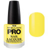 Classic Varnish 15 ml Mollon Pro (by color)