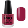 Verniz Clássico 15 ml Mollon Pro