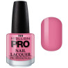 Vernis Classique 15 ml Mollon Pro