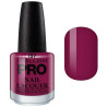 Classic Varnish 15 ml Mollon Pro (by color)