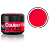 gel del color de UV Mollon Pro Color ()