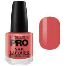 Verniz Clássico 15 ml Mollon Pro