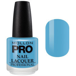 Vernis Classique 15 ml Mollon Pro