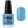 Smalto Classique 15 ml Mollon Pro (per colore)