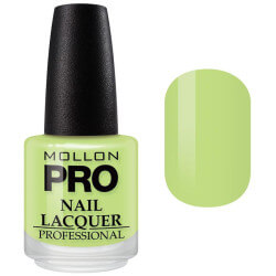 Verniz Clássico 15 ml Mollon Pro
