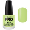 Classic Varnish 15 ml Mollon Pro (by color)