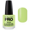 Verniz Clássico 15 ml Mollon Pro
