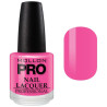 Classic Varnish 15 ml Mollon Pro (by color)