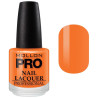 Classic Varnish 15 ml Mollon Pro (by color)