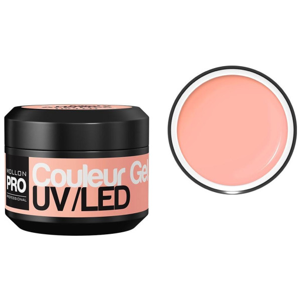 gel di colore UV Mollon Pro nudo d'epoca - 14 gel di colore UV Mollon Pro nudo d'epoca - 14