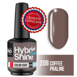 Mini Vernis Semi-Permanent Hybrid Shine Mollon Pro (Par Couleur)