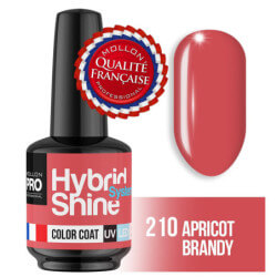 Mini Vernis Semi-Permanent Hybrid Shine Mollon Pro 8ml (Par Couleur)