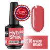 Mini Varnish Semi-Permanent Hybrid Shine Mollon Pro 8ml (By Color)