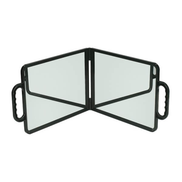 Miroir Bi-Vision double