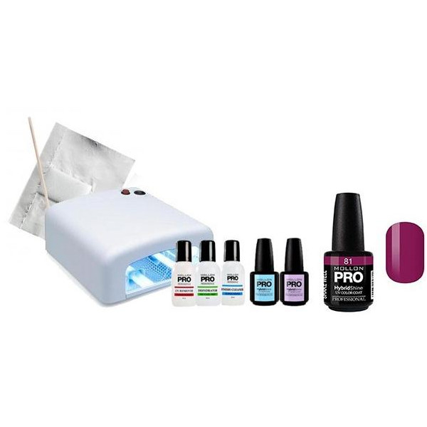 Hybrid-Pack Glanz Mollon Pro Judith 81 Hybrid-Pack Glanz Mollon Pro Judith 81