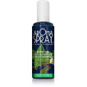 Aroma Spray Menthe Eucalyptus 100ml