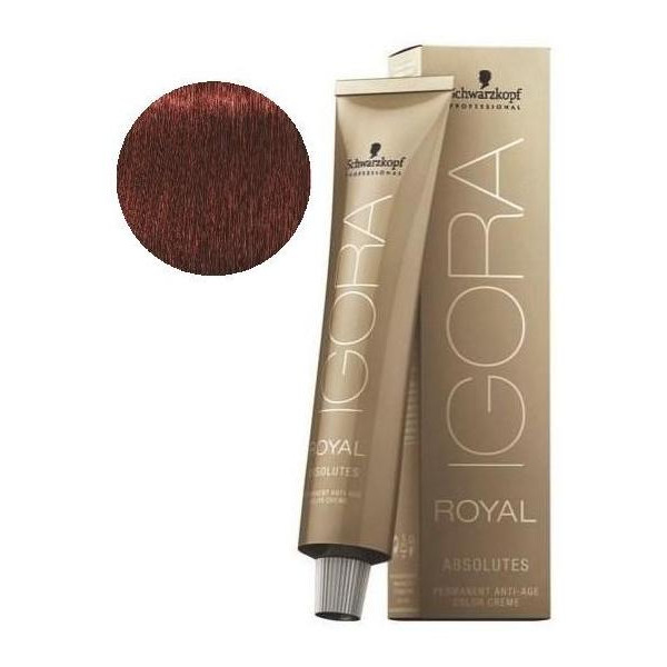 Igora Royal Absolutes 6-80 Dark Blonde Natural Red 60 ML Igora Royal Absolutes 6-80 Dark Blonde Natural Red 60 ML
