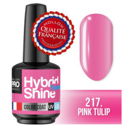 Mini Vernis Semi-Permanent Hybrid Shine Mollon Pro 8ml (Par Couleur)