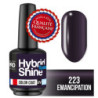 Mini Vernis Semi-Permanent Hybrid Shine Mollon Pro 8ml 