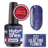 Mini Vernis Semi-Permanent Hybrid Shine Mollon Pro 8ml 