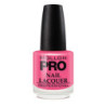 Vernis Classique 15 ml Mollon Pro