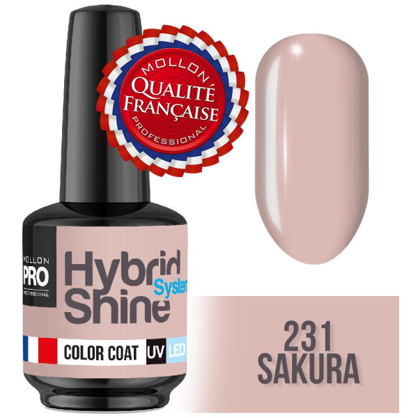 Mini Varnish Semi Permanent Hybrid Shine Mollon Pro