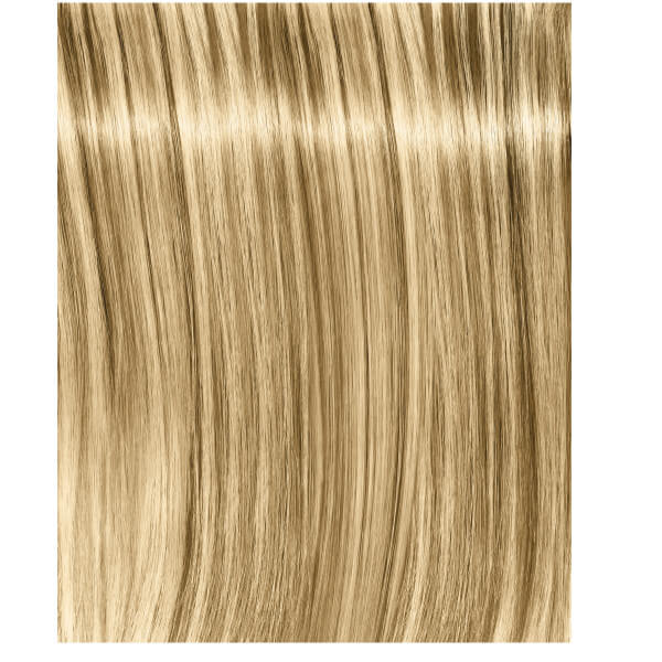 Igora Royal Fashion Light - Alle tinten Igora Royal Fashion Light - Alle tinten