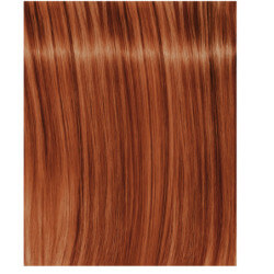 Igora royal Fashion light - Todas as Tonalidades