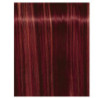 Igora Royal Fashion Light - Todas as Tonalidades