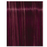 Igora Royal Fashion Light - Todas as Tonalidades