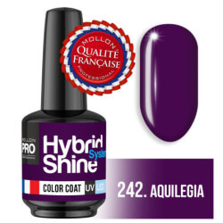 Mini Vernis Semi-Permanent Hybrid Shine Mollon Pro (Par Couleur)