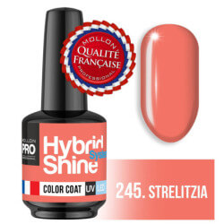 Verniz Mini Semi-Permanente Hybrid Shine Mollon Pro 8ml