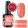 Mini-Lack Semi-Permanent Glanz Mollon Hybrid Pro 8 ml (für Farbe)