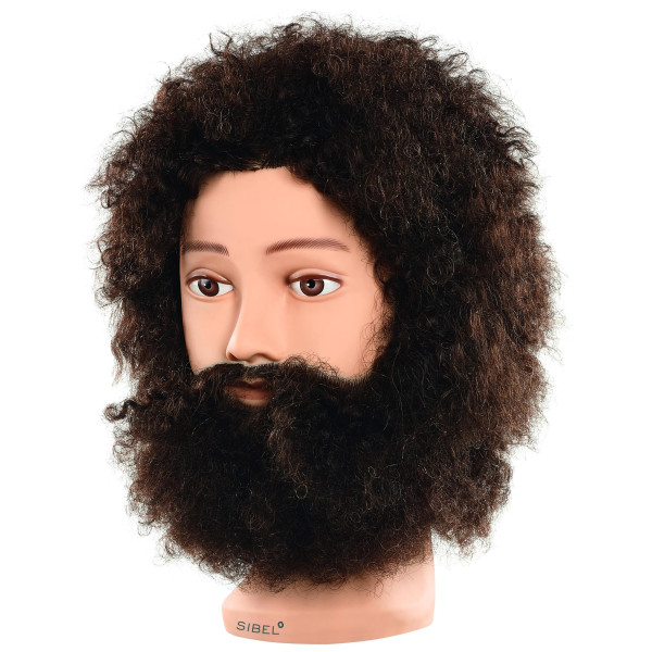 Tête apprentissage Barbe Gustav Tête apprentissage Barbe Gustav
