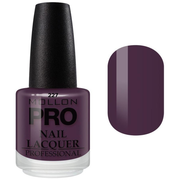 Vernis Classique 15 ml Mollon Pro Berry - 227 Vernis Classique 15 ml Mollon Pro Berry - 227